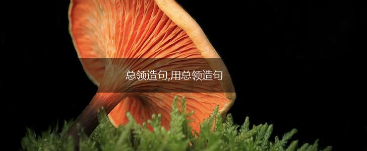 总领造句,用总领造句,第1张