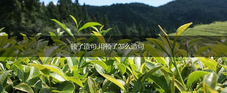 顿了造句,用顿了怎么造句,第1张