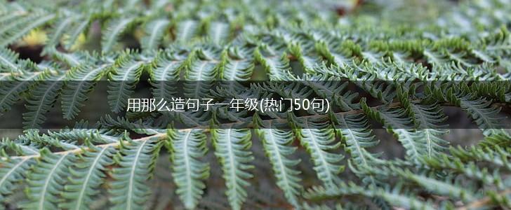 用那么造句子一年级(热门50句),第1张