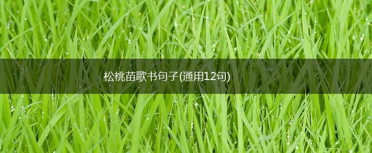 松桃苗歌书句子(通用12句),第1张