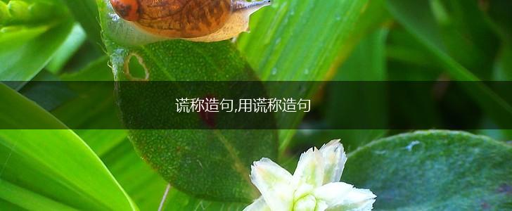 谎称造句,用谎称造句,第1张