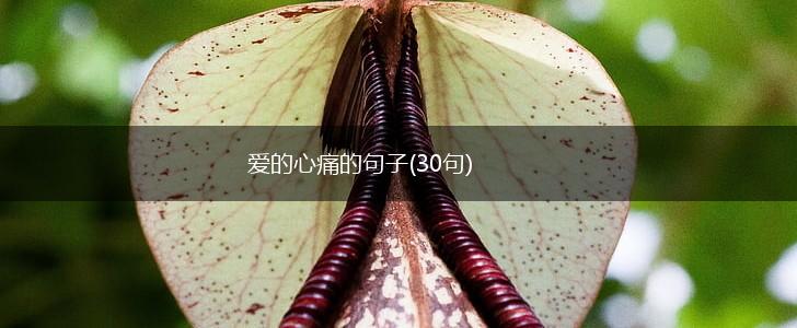 爱的心痛的句子(30句),第1张