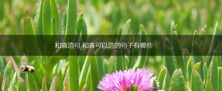 和喜造句 和喜可以造的句子有哪些,第1张