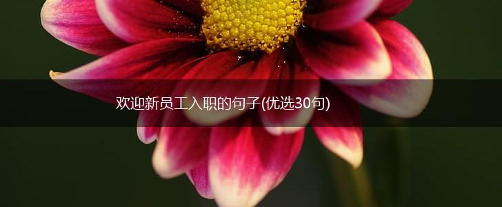 欢迎新员工入职的句子(优选30句),第1张