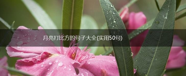 月亮打比方的句子大全(实用50句),第1张