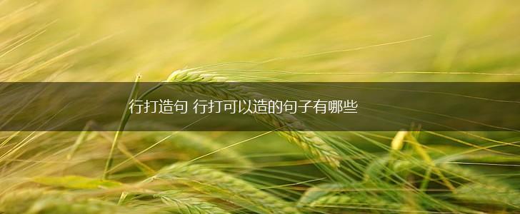 行打造句 行打可以造的句子有哪些,第1张