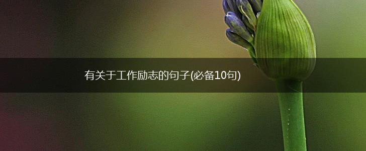 有关于工作励志的句子(必备10句),第1张