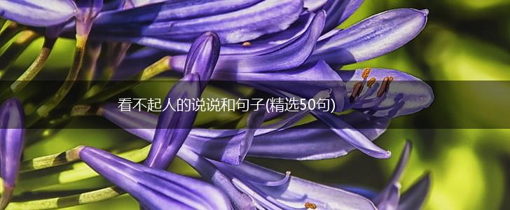 看不起人的说说和句子(精选50句),第1张