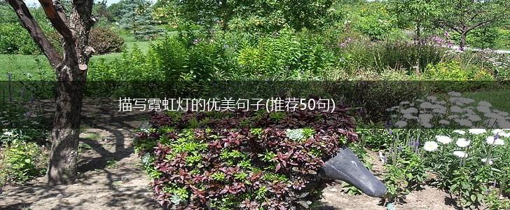 描写霓虹灯的优美句子(推荐50句),第1张