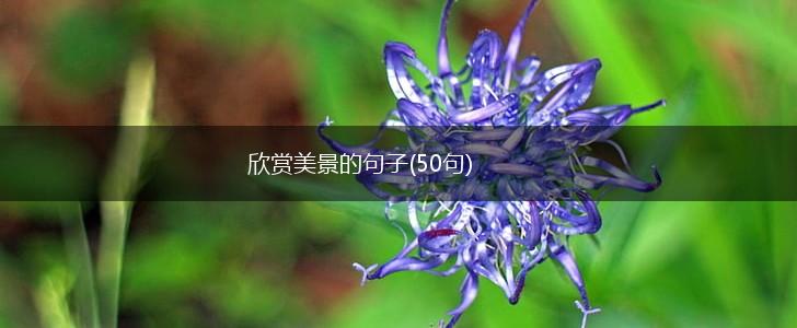 欣赏美景的句子(50句),第1张