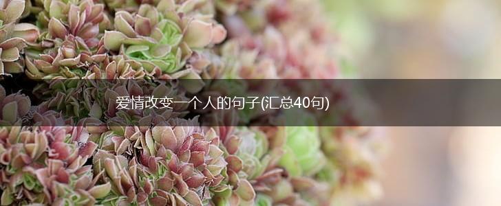 爱情改变一个人的句子(汇总40句),第1张