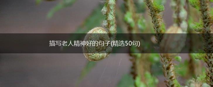 描写老人精神好的句子(精选50句),第1张