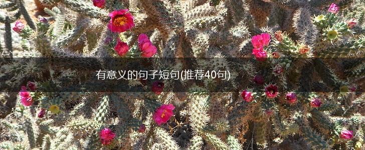 有意义的句子短句(推荐40句),第1张