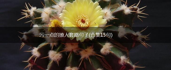 污一点的撩人套路句子(合集15句),第1张