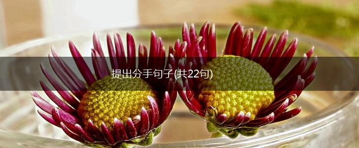 提出分手句子(共22句),第1张