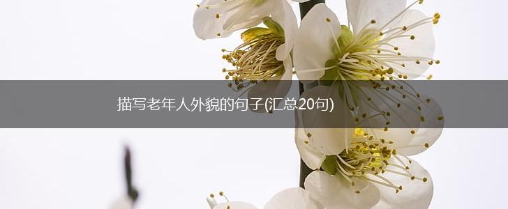 描写老年人外貌的句子(汇总20句),第1张