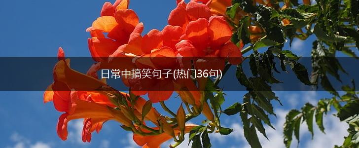日常中搞笑句子(热门36句),第1张
