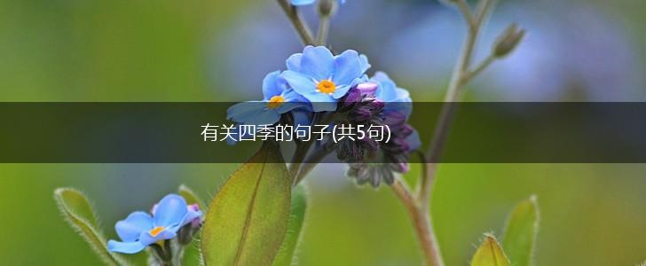 有关四季的句子(共5句),第1张
