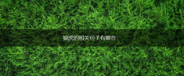 狼虎的相关句子有哪些,第1张