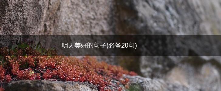 明天美好的句子(必备20句),第1张