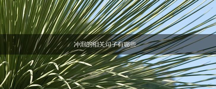 冲泡的相关句子有哪些,第1张