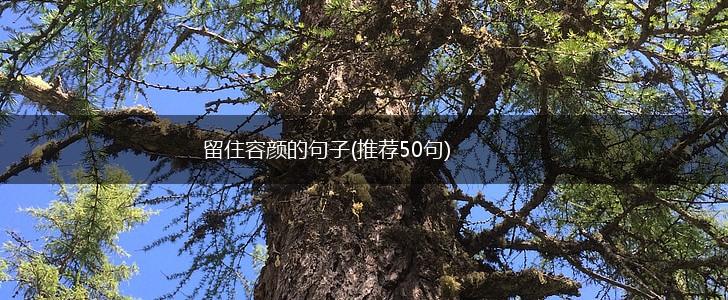 留住容颜的句子(推荐50句),第1张