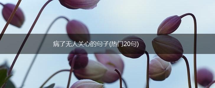 病了无人关心的句子(热门20句),第1张