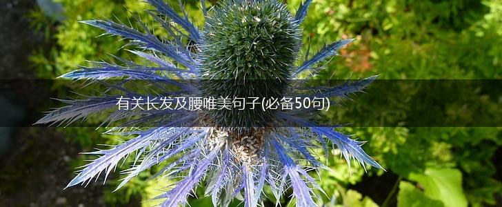 有关长发及腰唯美句子(必备50句),第1张
