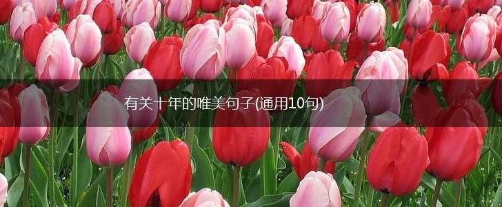有关十年的唯美句子(通用10句),第1张