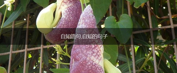 自知造句,自知的句子,第1张 自知造句,自知的句子,第1张