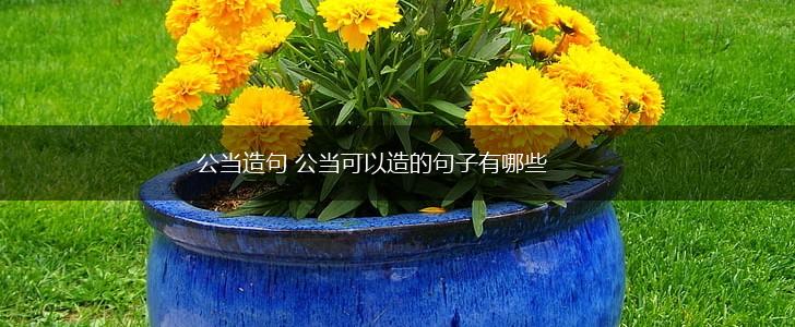公当造句 公当可以造的句子有哪些,第1张