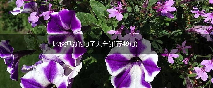 比较押韵的句子大全(推荐49句),第1张