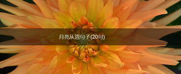 月亮从造句子(20句),第1张