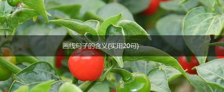 画线句子的含义(实用20句),第1张