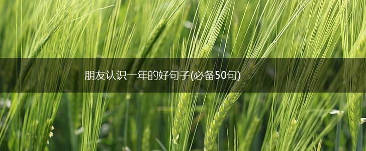 朋友认识一年的好句子(必备50句),第1张