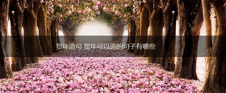 贺年造句 贺年可以造的句子有哪些,第1张
