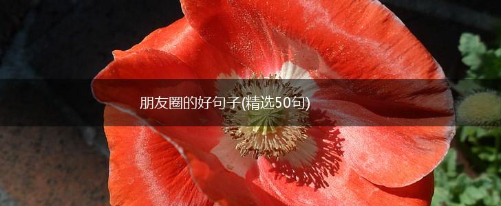 朋友圈的好句子(精选50句),第1张