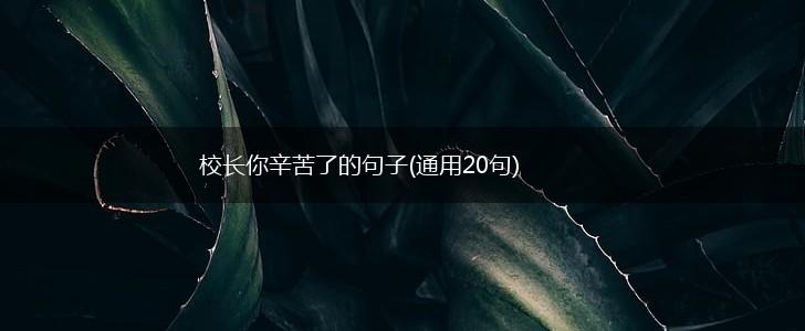 校长你辛苦了的句子(通用20句),第1张