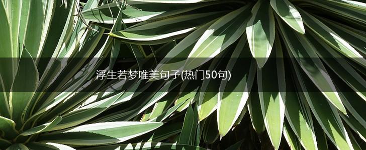 浮生若梦唯美句子(热门50句),第1张
