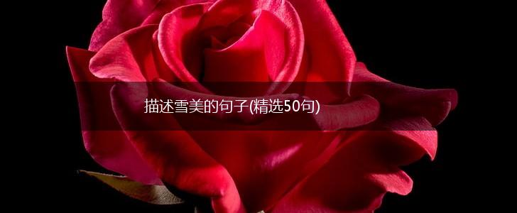 描述雪美的句子(精选50句),第1张