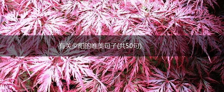 有关夕阳的唯美句子(共50句),第1张
