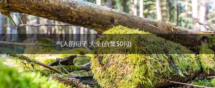 气人的句子 大全(合集50句),第1张