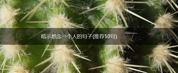 暗示想念一个人的句子(推荐50句),第1张
