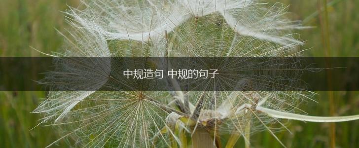 中规造句 中规的句子,第1张