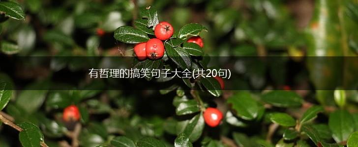 有哲理的搞笑句子大全(共20句),第1张