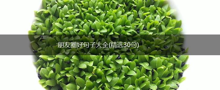朋友圈好句子大全(精选30句),第1张