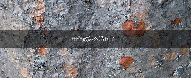 用作数怎么造句子,第1张 用作数怎么造句子,第1张