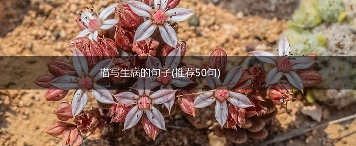 描写生病的句子(推荐50句),第1张