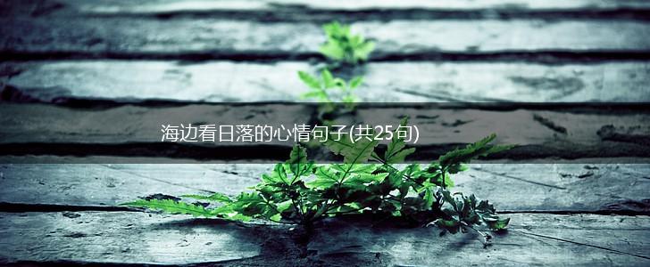 海边看日落的心情句子(共25句),第1张