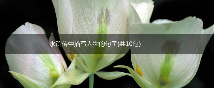 水浒传中描写人物的句子(共10句),第1张